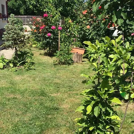 Casa vacanze Casa Cu Roze Constanţa