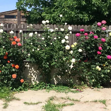 Casa Cu Roze * Constanţa