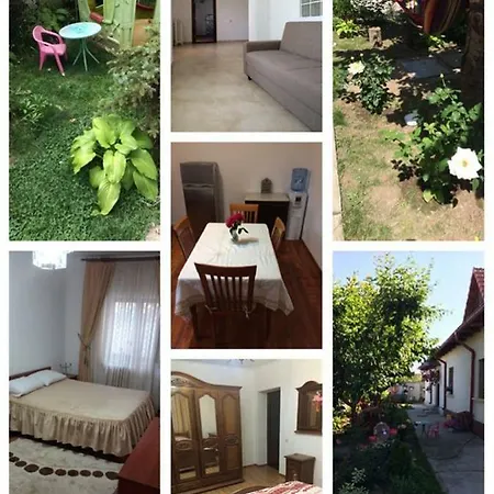 Casa Cu Roze *