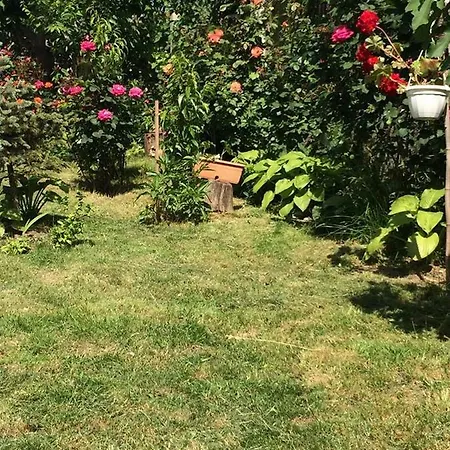 Casa Cu Roze