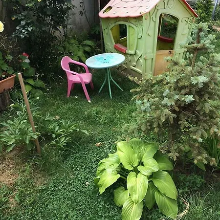 Casa Cu Roze Casa vacanze