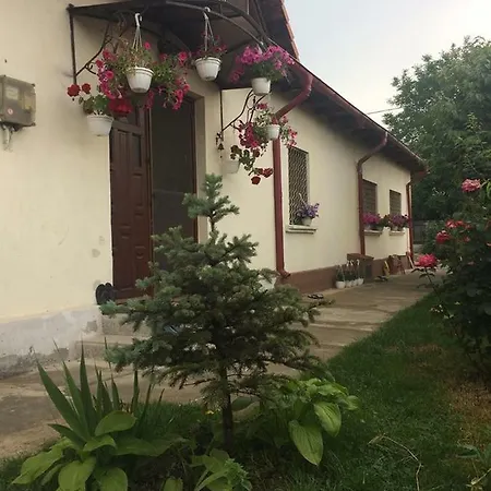 Casa Cu Roze Casa vacanze *