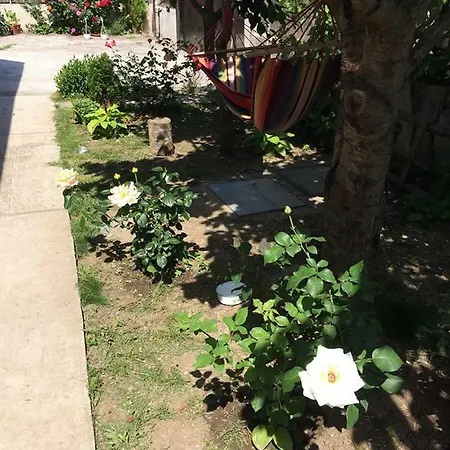 Casa Cu Roze Casa vacanze *