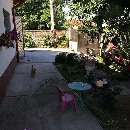 Casa Cu Roze *